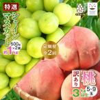 ふるさと納税 山梨市 【発送月固定定期便】2025年発送/朝収穫農家直送/訳あり桃+特選シャインマスカット全2回