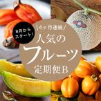 fu.... налог Цу мир . блок [ отправка месяц фиксация установленный срок рейс ] фрукты установленный срок рейс B.. прекрасный тест .. фрукты . каждый месяц 1 вид все 4 раз 