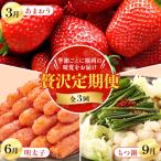 ふるさと納税 大野城市 【発送月固定定期便】季節ごとに福岡の味覚をお届け!あまおう・明太子・もつ鍋の贅沢定期便全3回