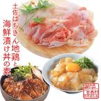 はちきん地鶏もも肉&amp;真鯛とブリの漬丼の素
