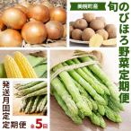 ふるさと納税 美幌町 【発送月固定定期便】年5回!旬のびほろ野菜定期便(アスパラ、スウィートコーン、玉ねぎ等)全5回