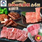 厳選 お肉の定期便全4回 FF903TD
