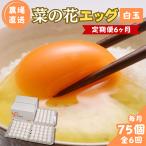 菜の花エッグ 白玉 75個