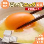 菜の花エッグ 白玉 50個