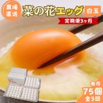 菜の花エッグ 白玉 75個