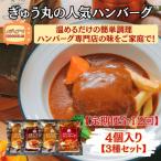 ハンバーグ ぎゅう丸デミシチューハンバーグ4個総計48個