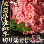 ふるさと納税 吉野ヶ里町 【毎月定期便】大満足!佐賀県産和牛切り落とし 1.2kg(600g×2パック)(吉野ヶ里町)全12回