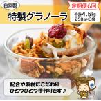 自家製 フルーツグラノーラ 250g×3袋