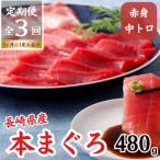 産本まぐろ 中トロ 赤身 480g以上