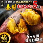 都城産 長期熟成紅はるか 5kg全5回