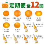 コウ果樹園の旬の柑橘定期便 11月-10月