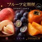 もも 紀州和歌山産旬のフルーツセット 桃