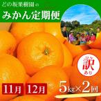 ご 2種のみかん定期便 ゆら早生みかん 完熟みかん