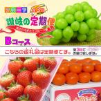 ショッピングふるさと納税 定期便 ふるさと納税 坂出市 【発送月固定定期便】創業100年の老舗が選んだ讃岐のフルーツの定期便【Bコース3回】全3回