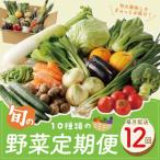 ふるさと納税 泉佐野市 【毎月定期便】旬の泉州野菜 定期便 10種類 詰め合わせ 全12回 099Z187