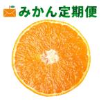 ショッピングふるさと納税 定期便 ふるさと納税 八幡浜市 【発送月固定定期便】ボリューム定期便【H33-45】全5回