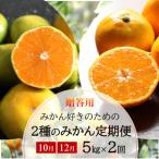 みかん好きに食べてほしい 2種のみかん定期便 各5kg