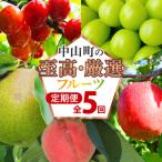 ふるさと納税 中山町 【発送月固定定期便】中山町の至高・厳選フルーツ定期便　全5回