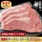 6ヶ月定期便 化粧箱入 最高級A5等級 飛騨牛