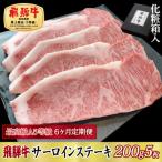 6ヶ月定期便 化粧箱入 最高級A5等級 飛騨牛