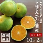 みかん好きに食べてほしい 2種のみかん定期便 各10kg