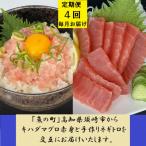 からキハダ鮪1kgとネギトロ1kgを交互にお届けします全4回