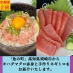からキハダ鮪1kgとネギトロ1kgをお届けします全2回