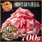 飛騨牛 切り落とし 約700g