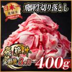 飛騨牛 カイノミステーキ定期便 毎月400g