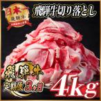 飛騨牛 切り落とし 約4kg