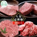 ふるさと納税 根羽村 【毎月定期便】根羽村 人気お肉定期便 カタロース・切り落とし・モモブロック・ステーキ全4回