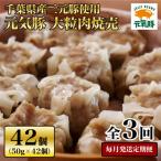 元気豚 大粒肉焼売セット 42個セット 計2.1kg