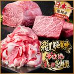 ふるさと納税 羽島市 【毎月定期便】飛騨牛 少なめ定期便 計1kg【冷蔵便】全3回 赤身ステーキ 切り落とし 赤身ブロック