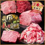 ふるさと納税 羽島市 【毎月定期便】飛騨牛 定期便 計1.7kg【冷蔵便】全4回