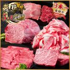 ふるさと納税 羽島市 【毎月定期便】飛騨牛 定期便 計2.2kg【冷蔵便】A4〜A5 バーベキュー ローストビーフ 全5回