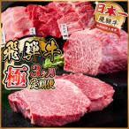 飛騨牛 極定期便 計1.7kg