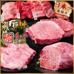飛騨牛 極定期便 計2.2kg