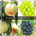 フルーツ定期便全3回