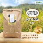 ふるさと納税 潮来市 【毎月定期便】栽培期間出来るだけ農薬を減らして作る「かすみ米」玄米5kg全3回