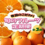 有田のこだわりが詰まった旬のフルーツ定期便全3回
