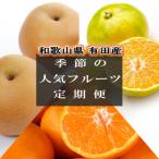 和歌山有田産季節のフルーツ定期便 全3回
