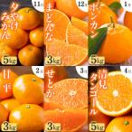 ショッピング甘平 ふるさと納税 八幡浜市 【発送月固定定期便】「こたつの上の冬物語」愛媛限定のまどんなや甘平も届きます!【H49-69】全6回