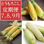 7月 8月 9月 生で食べれるトウモロコシ定期便