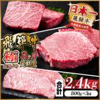 飛騨牛 極ステーキ定期便 計約2.4kg