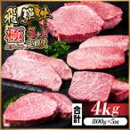 飛騨牛 極ステーキ定期便 計約4kg 全5回