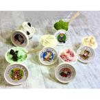 Migelaのジェラート6個食べ比べセット