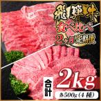 飛騨牛霜降り 赤身食べ比べセット 2ヶ月定期便 計2kg