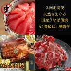 紀州和歌山うまいもんセットB 生まぐろ