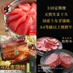 紀州和歌山うまいもんセットA 生まぐろ