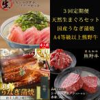 紀州和歌山うまいもんセットC 生まぐろ